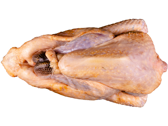 Parelhoen heel